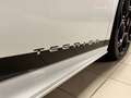 Lamborghini Huracán HURACAN TECNICA CARBON EXT&INT SENSONUM FULLOPT! Weiß - thumbnail 15