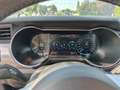 Ford Mustang 5,0 Ti-VCT V8 Bullitt Grün - thumbnail 8
