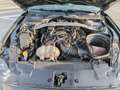 Ford Mustang 5,0 Ti-VCT V8 Bullitt Grün - thumbnail 11