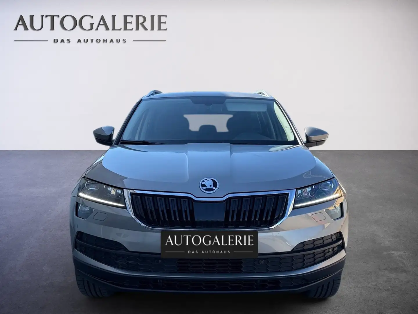Skoda Karoq Style Beige - 2