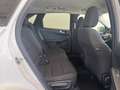 Ford Kuga 1.5 EcoBoost Titanium FWD 150 Blanco - thumbnail 19
