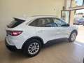 Ford Kuga 1.5 EcoBoost Titanium FWD 150 Blanco - thumbnail 4