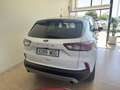 Ford Kuga 1.5 EcoBoost Titanium FWD 150 Blanco - thumbnail 6