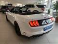 Ford Mustang 5,0 Ti-VCT V8 GT Cabrio Aut. eine Legende Weiß - thumbnail 18