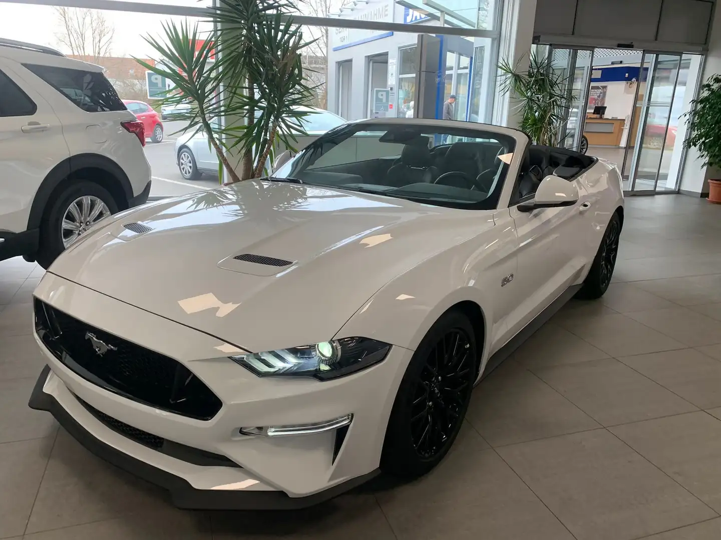 Ford Mustang 5,0 Ti-VCT V8 GT Cabrio Aut. eine Legende Weiß - 2