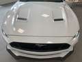 Ford Mustang 5,0 Ti-VCT V8 GT Cabrio Aut. eine Legende Weiß - thumbnail 4