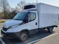 Iveco Daily Kühltransporter 35 S 16HA8 V Weiß - thumbnail 3