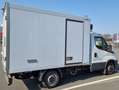 Iveco Daily Kühltransporter 35 S 16HA8 V Weiß - thumbnail 18