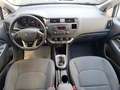 Kia Rio 1.2 CVVT 5p. EX PLUS Bianco - thumbnail 11