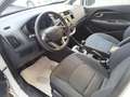 Kia Rio 1.2 CVVT 5p. EX PLUS Bianco - thumbnail 7