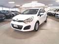Kia Rio 1.2 CVVT 5p. EX PLUS Bianco - thumbnail 6