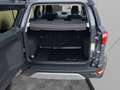 Ford EcoSport 1,0 EcoBoost Titanium Grau - thumbnail 12
