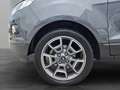 Ford EcoSport 1,0 EcoBoost Titanium Grau - thumbnail 13