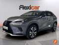 Lexus NX 300 300h Business Navigation 2WD Gris - thumbnail 3