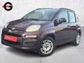 Fiat Panda easy es 69 Mauve - thumbnail 1