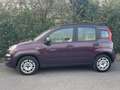 Fiat Panda easy es 69 Mauve - thumbnail 4