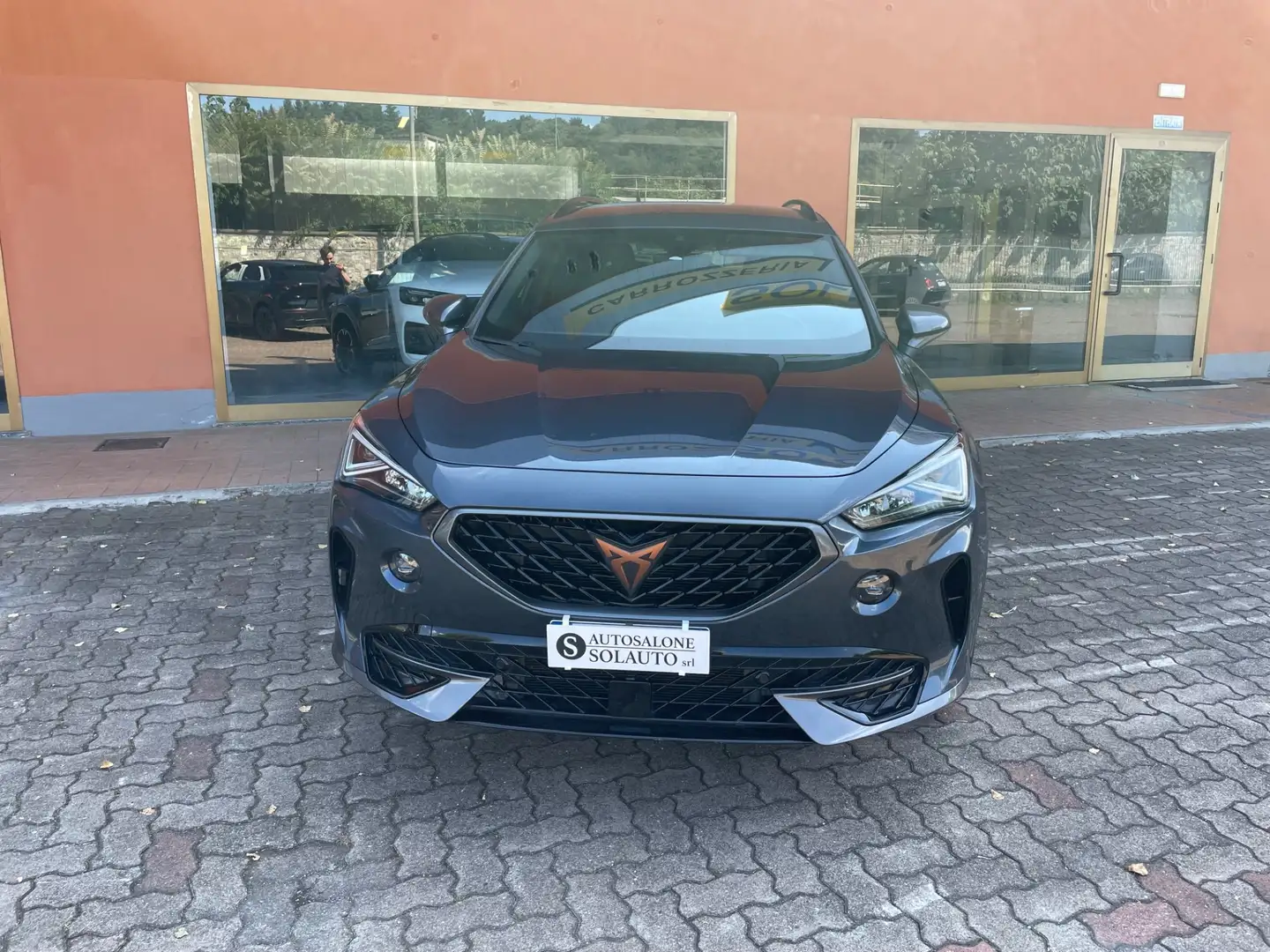 CUPRA Formentor 2.0 TDI 4Drive DSG Gris - 2