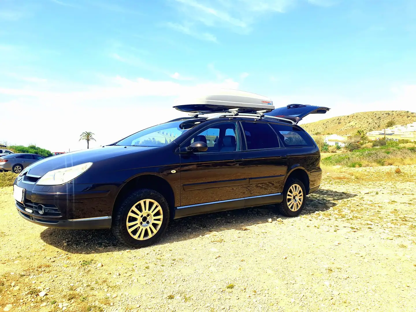 Citroen C5 C5 Break 2.0i 16v SX Marrón - 2