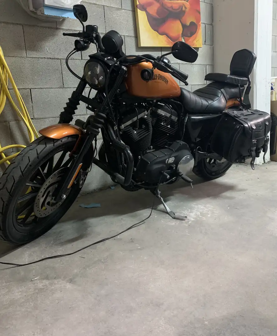 Harley-Davidson Iron 883 full optional - 1
