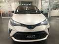 Toyota C-HR 2.0 Hybrid E-CVT Trend MY 23 KM 0 Argento - thumbnail 3