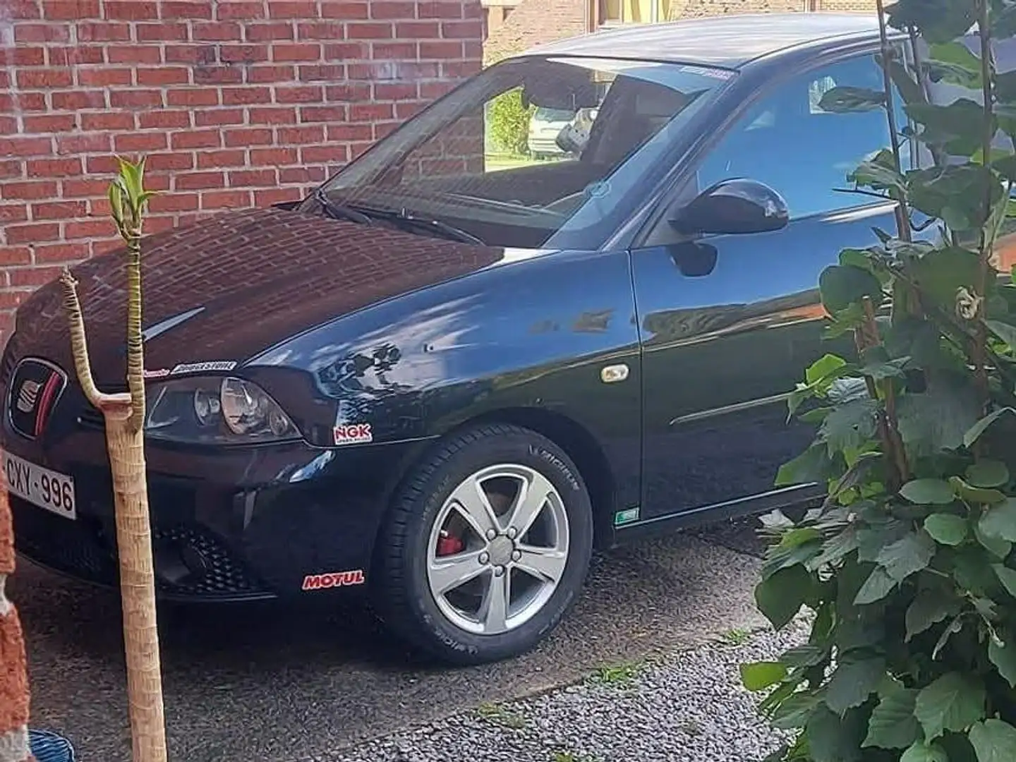 SEAT Ibiza Ibiza 1.4 TDi Sport DPF Noir - 2