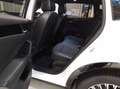 Volkswagen Tiguan 2.0 TDI DSG R-Line 4Motion Navi AHK IQ.LI Weiß - thumbnail 5