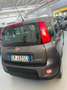 Fiat New Panda Panda 1.0 FireFly S&S Hybrid - thumbnail 7