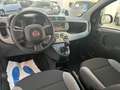 Fiat New Panda Panda 1.0 FireFly S&S Hybrid - thumbnail 4