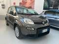 Fiat New Panda Panda 1.0 FireFly S&S Hybrid - thumbnail 1