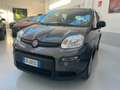 Fiat New Panda Panda 1.0 FireFly S&S Hybrid - thumbnail 16