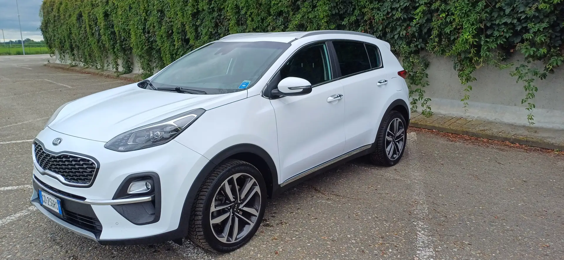 Kia Sportage Sportage 1.6 crdi mhev GT Line Plus awd 136cv dct Bianco - 1