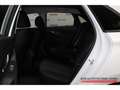 Hyundai i30 Intro Edition 1.5 T-GDI 48V AHK-abnehmbar Navi Bianco - thumbnail 9