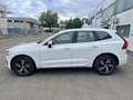 Volvo XC60 2.0d R-design 4x4 cinghia e tagliando appena fatti - thumbnail 7