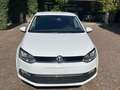 Volkswagen Polo 1.0 MPI 75 CV 5p.Allstar Bianco - thumbnail 12
