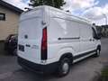 Maxus Deliver 9 Deliver 9 2.0 Transporter FWD LUXURY Weiß - thumbnail 4