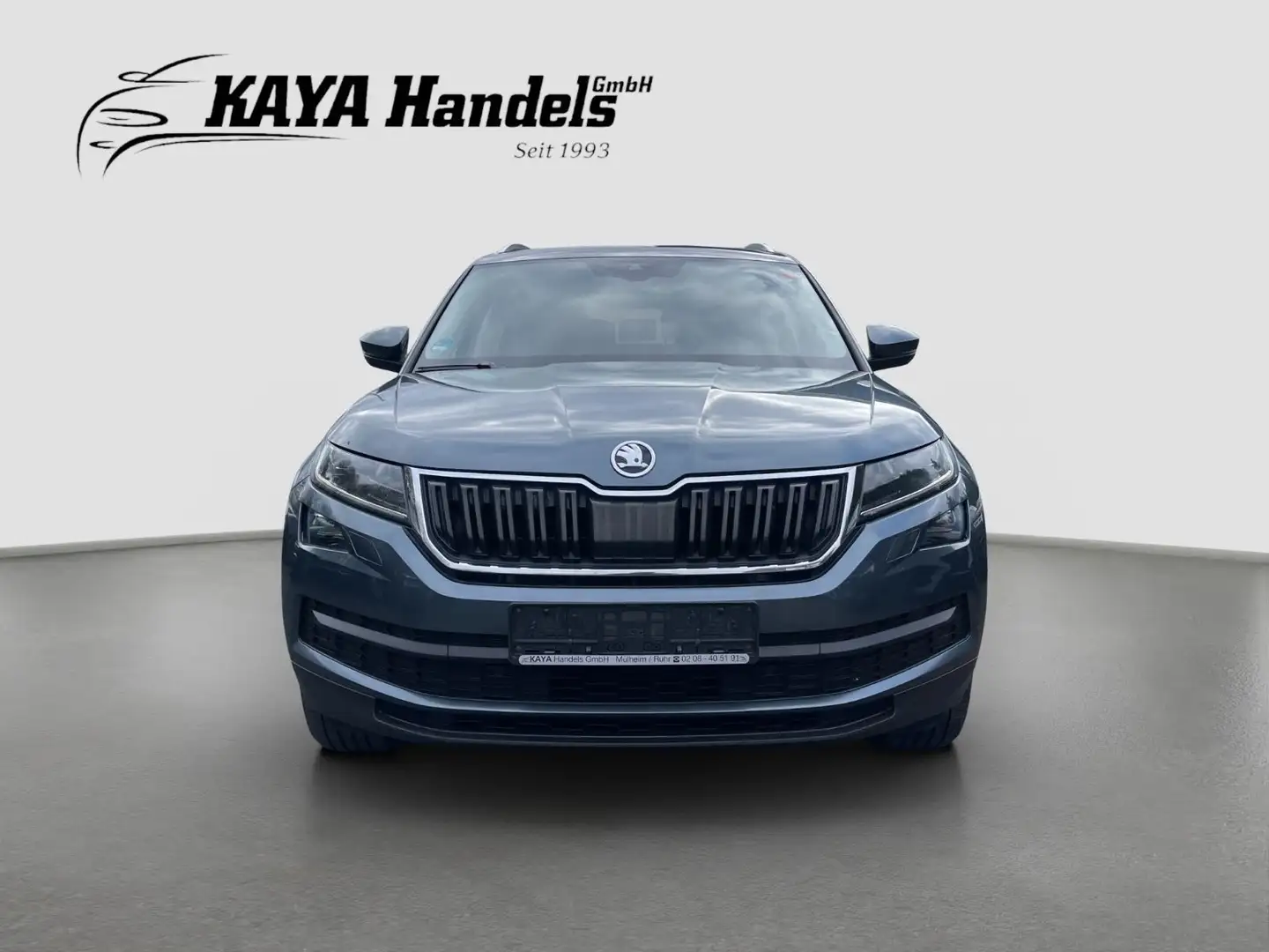 Skoda Kodiaq Style 4x4 Leder/Navi/Kamera/7-Sitzer Grau - 2