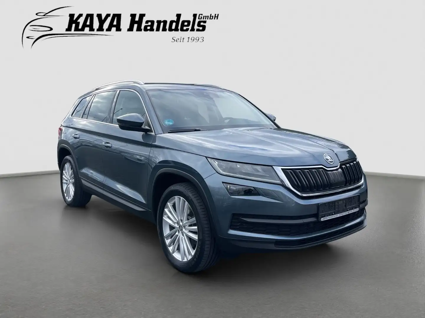 Skoda Kodiaq Style 4x4 Leder/Navi/Kamera/7-Sitzer Grau - 1