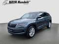 Skoda Kodiaq Style 4x4 Leder/Navi/Kamera/7-Sitzer Grau - thumbnail 3