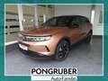 Opel Grandland Hybrid. GS. 1.2 Direct Injection Turbo. 107 kW (145 PS). 6-G Braun - thumbnail 1