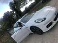 Porsche Panamera 3.0 diesel restyling Bianco - thumbnail 6