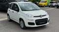 Fiat Panda 4x2 FireFly Hybrid 70 Weiß - thumbnail 7