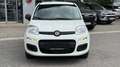 Fiat Panda 4x2 FireFly Hybrid 70 Weiß - thumbnail 8