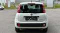 Fiat Panda 4x2 FireFly Hybrid 70 Weiß - thumbnail 4