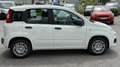 Fiat Panda 4x2 FireFly Hybrid 70 Weiß - thumbnail 6