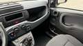 Fiat Panda 4x2 FireFly Hybrid 70 Weiß - thumbnail 13