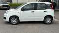Fiat Panda 4x2 FireFly Hybrid 70 Weiß - thumbnail 2
