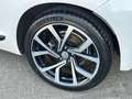 Volkswagen Scirocco 1.4 TSI Highline Plus / PANO Blanco - thumbnail 22