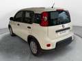 Fiat Panda 1.0 FireFly S&S Hybrid Bianco - thumbnail 4
