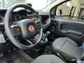 Fiat Panda 1.0 hybrid Cross *UNIPROPRIETARIO-PRONTA CONSEGNA* Gris - thumbnail 7