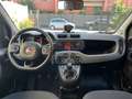 Fiat Panda 1.0 hybrid Cross *UNIPROPRIETARIO-PRONTA CONSEGNA* Gris - thumbnail 8
